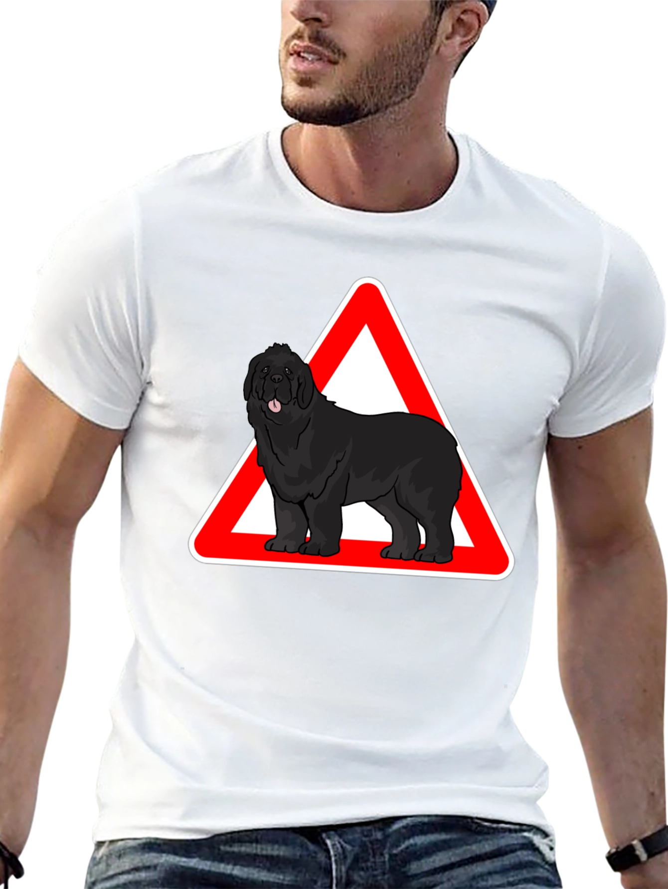 Camiseta Negra con Diseño de Perro Terranova