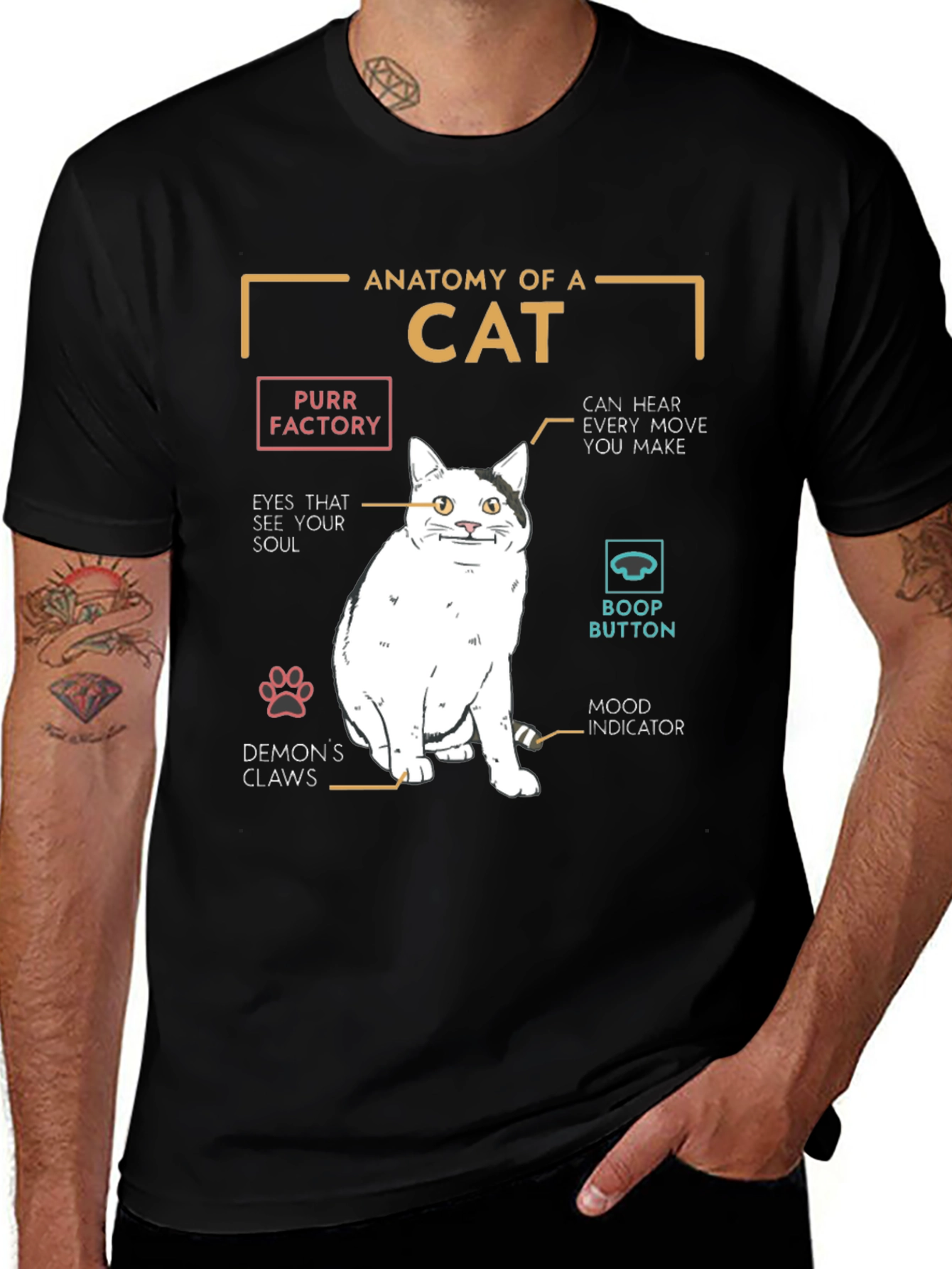 Camiseta Anatomía de un Gato - Humor Felino